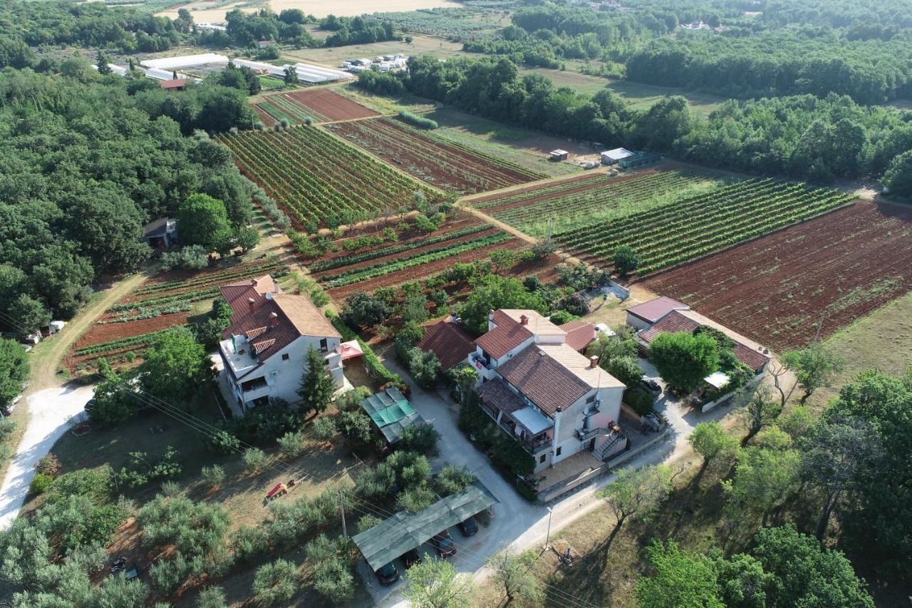 Viva Molindrio Apartman