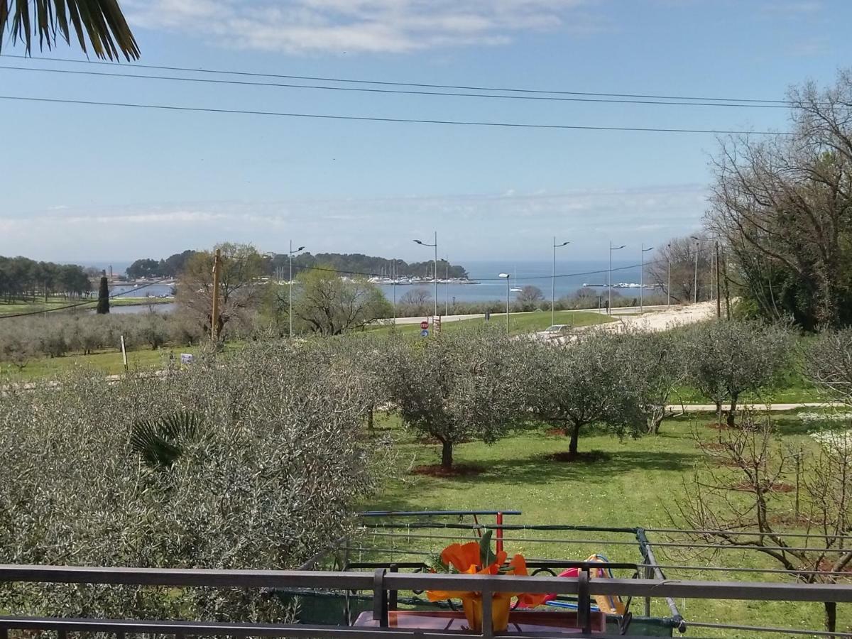 Apartman Viva Molindrio *