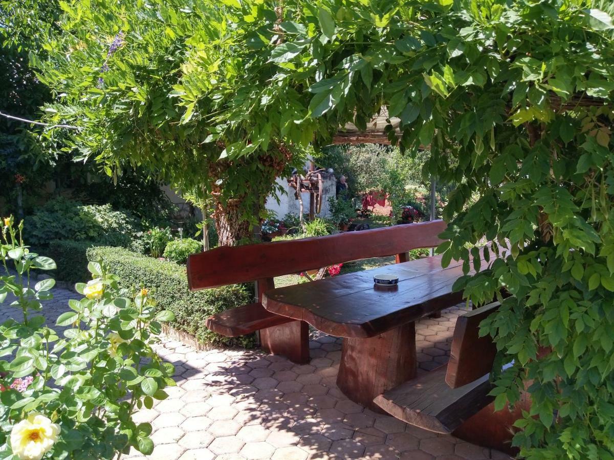 Apartman Viva Molindrio *