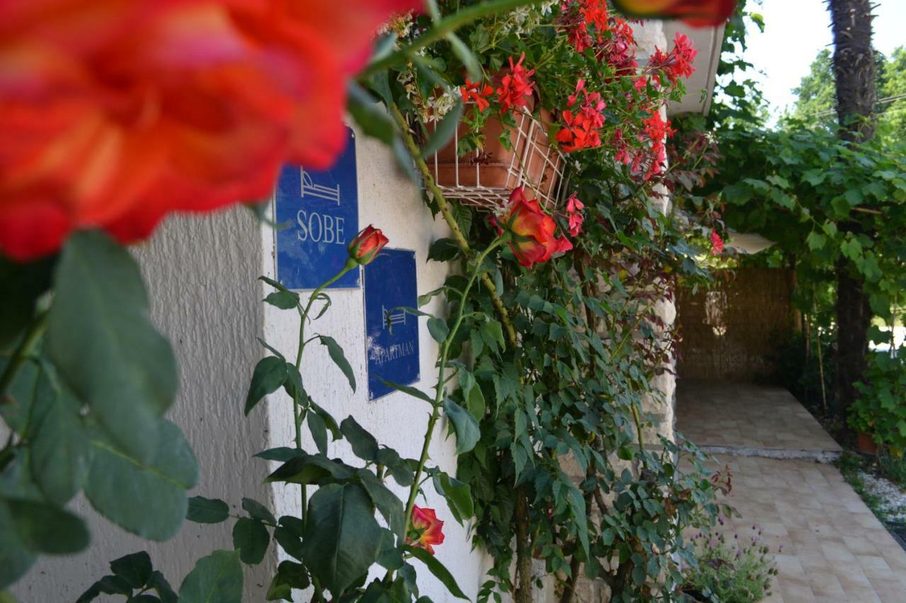 Viva Molindrio Porec