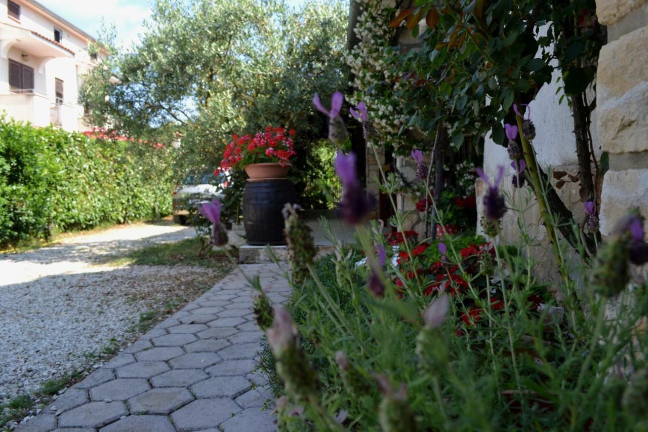 Apartman Viva Molindrio