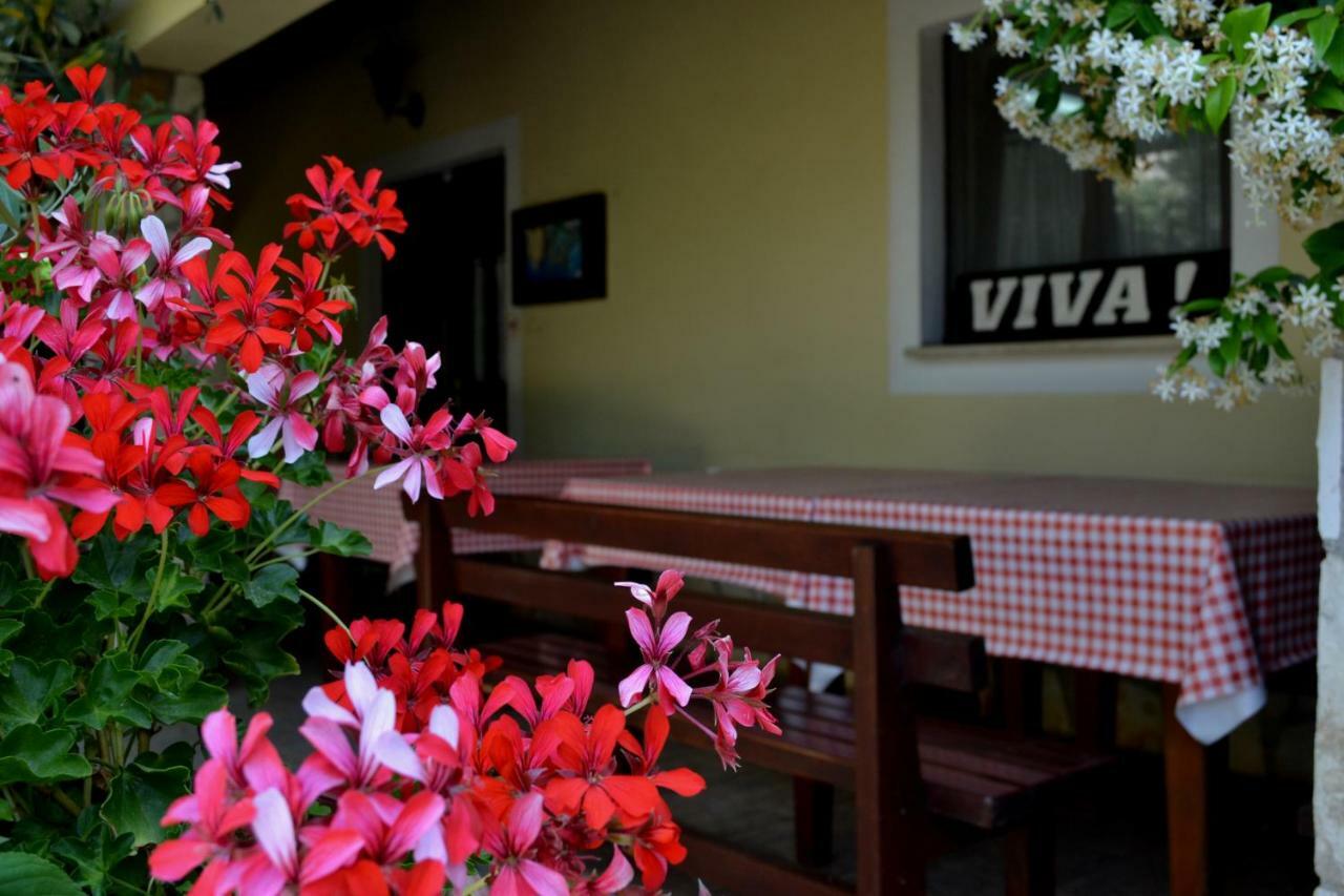 Apartman Viva Molindrio